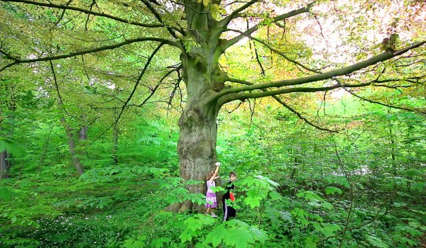IMG_763x-alex-eva-tree